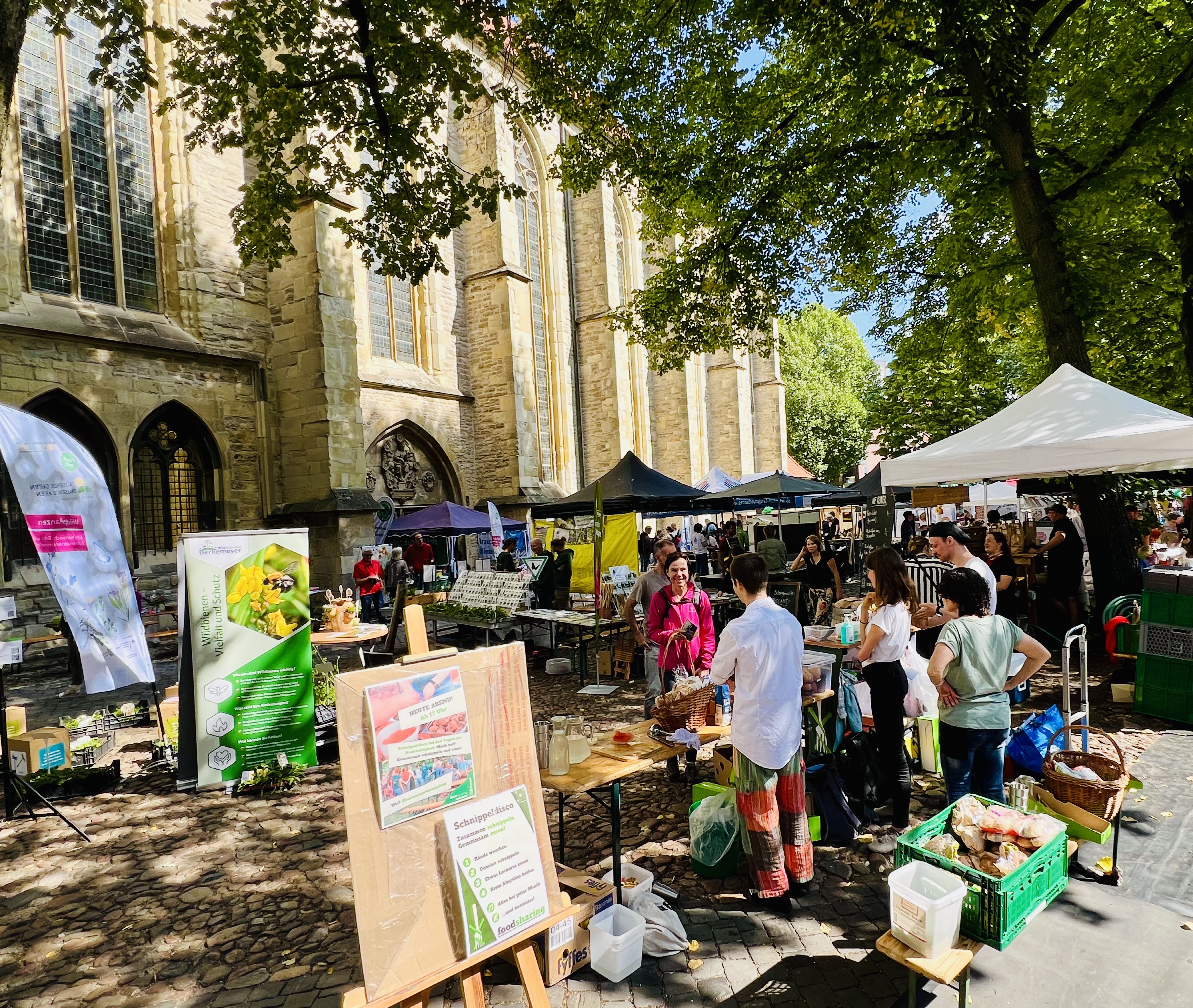 Über 40 Stände machen den Markt der Möglichkeiten bunt, vielfältig und inspirierend für mehr Nachhaltigkeit in Münster.