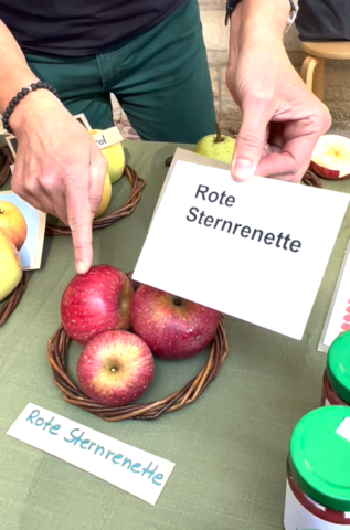 Beliebt: Das Quiz über Äpfel und Birnen von den Streuobstwiesen der Biologischen Station in den Rieselfeldern.