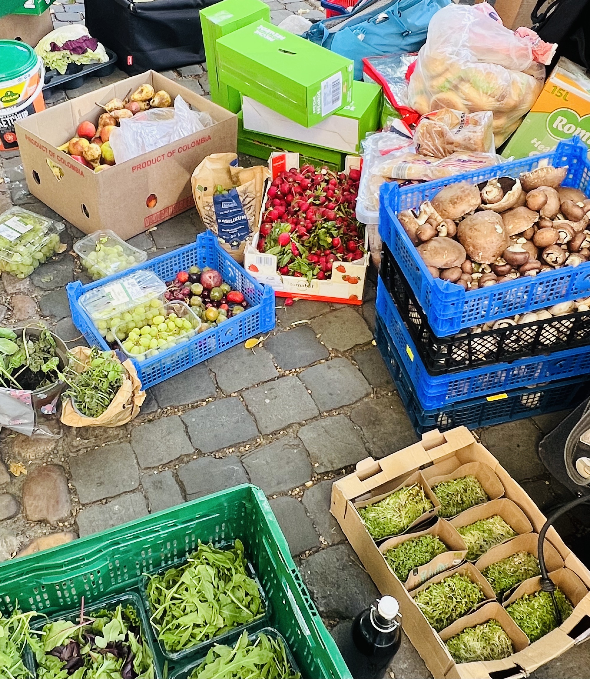 Kistenweise gerettete Lebensmittel von foodsharing Münster.